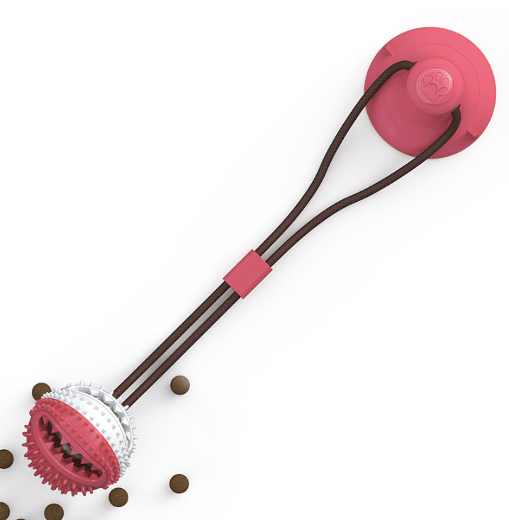 Suction Cup Dog Toy