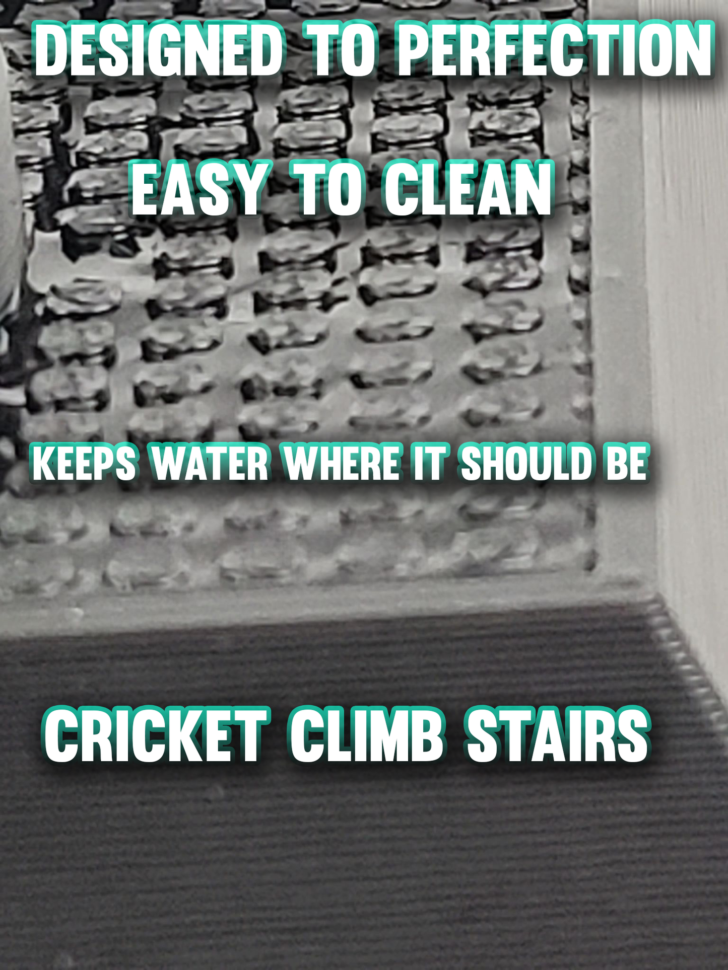 GenieYes Cricket & small insect gravity water dish